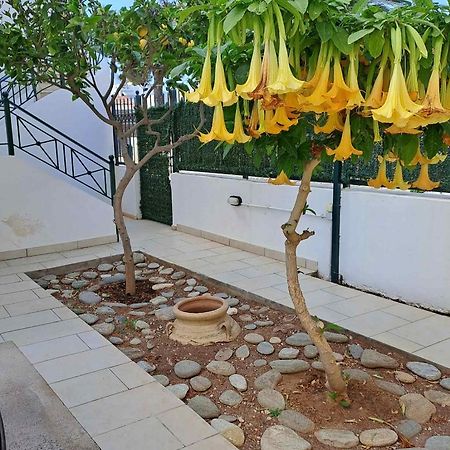 Dimitris Place Near Athens Airport Koropí Kültér fotó