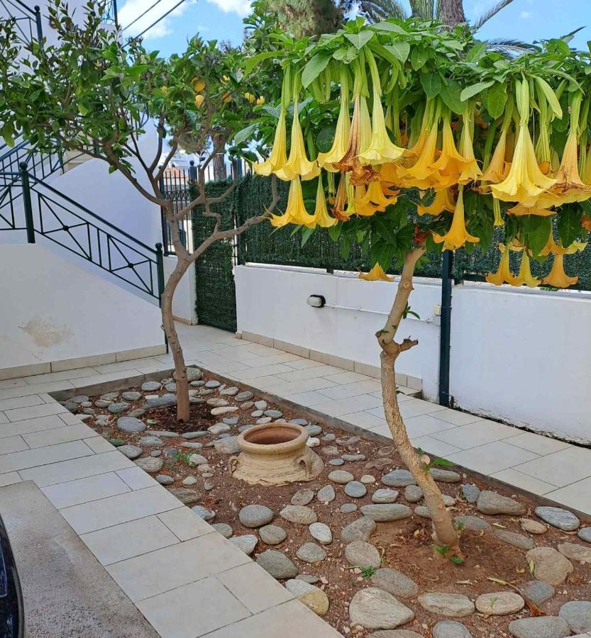 Dimitris Place Near Athens Airport Koropí Kültér fotó
