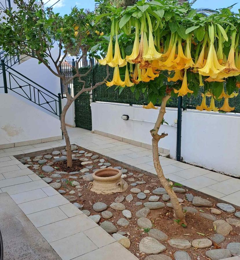 Dimitris Place Near Athens Airport Koropí Kültér fotó