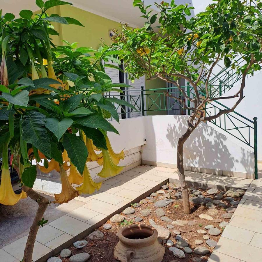 Dimitris Place Near Athens Airport Koropí Kültér fotó